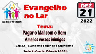 Pagar o Mal com o Bem  - Cap.12  - Amai os vossos inimigos