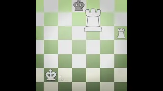 THE ROOK