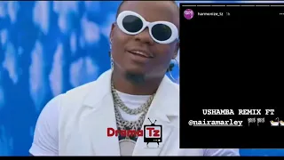 harmonize ft nairamarley ushamba remix h264 64979