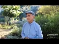 Plant Talk Tree Selection and Care - Turtle Bay Exploration Park
