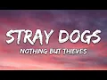 Nothing But Thieves - Stray Dogs (Lyrics)