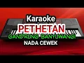 Download Lagu Karaoke PETETAN banyuwangi - nada cewek [cover musik]