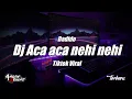 Download Lagu DJ ACA ACA NEHI NEHI REMIX VIRAL TIKTOK TERBARU 2022