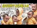 Download Lagu CIPUNG PERDANA DI PELUK KUCING??!!NAGITA KENALIN SEMUA KUCING CIPUNG MALAH GEMEEESSS