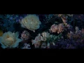 White Sea - Bloodline
