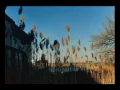 07 The Cinematic Orchestra   Breathe ft  Fontella Bass