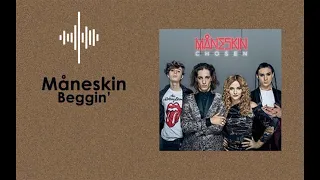 Download Maneskin - \ MP3