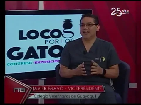 Locos por los Gatos 1er Mega evento dedicado a los felinos