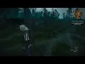 How to fix no fast signpost problem in Witcher 3 Wild Hunt