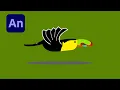 Adobe Animate How To Animate A Bird Flying Flapping Wings and Blinking Eyes