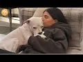 Download Lagu Wrigley the 10-Year-Old Rescue Dog Had Never Slept on a Bed—Until This Moment Changed Her Life