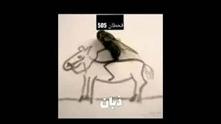 عيارة أشهر قبايل  عيارة أشهر قبايل