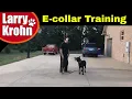 First E Collar Remote Collar Session with young German Shepherd