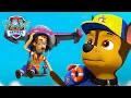 Download Lagu Francois és Turbot kapitány harcolnak a nagymama figyelméért | Mancs Őrjárat | PAW Patrol