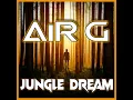 Download Lagu Air G - Jungle Dream (Hybrid Tekno 2021)