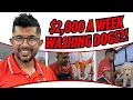 From driving a concrete truck to 2 000 a week washing dogs - Day in the life of a Dog Groomer