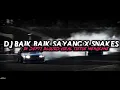 Download Lagu DJ BAIK BAIK SAYANG BY SEPTI BLOODS VIRAL TIKTOK MENGKANE