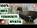 Download Lagu 🔴SUARA PIKAT BURUNG MANDAR TERBUKTI AMPUH DAN JERNIH mp3