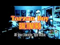 Download Lagu Tarzan Boy (BALTIMORA) cover by Hr. Eydís (Mr. 80s)