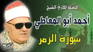 من روائع الشيخ أحمد أبو المعاطي سورة الزمر 