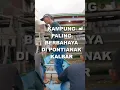 Download Lagu kampung paling berbahaya di pontianak #viral #viralvideo