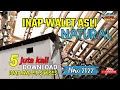 Download Lagu Suara Inap TERBAIK 2022, Rahasia Panen Kiloan !!!!!!!!!!!!? MANTUL BOSQUE