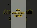 Download Lagu 😜Jangan mengalir seperti air. Bahaya, kalau alirannya lewat got—kena t4i!😂