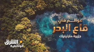 عوالم في قاع البحر جزيرة مارتينيك الشرق الوثائقية  عوالم في قاع البحر جزيرة مارتينيك الشرق الوثائقية