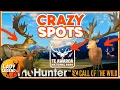 CRAZY SPOTS to Find DIAMONDS in Te Awaroa - Call of the Wild