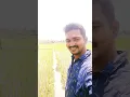 Download Lagu nendupaunnami vela