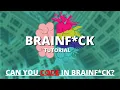 BrainF ck Programming Tutorial - Can You Code in BrainF ck