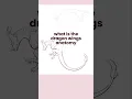 Draw real dragon wings
