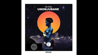dr feel unomajubane original mix 