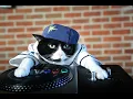 join my stream on generator