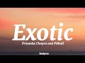 Download Lagu Priyanka Chopra - Exotic ft. Pitbull (Lyrics)