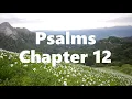The Book of Psalms Chapter 12 - New King James Version NKJV