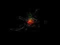 Download Lagu Solar Fields - Movements [Full Album]