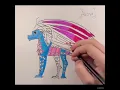 How to Draw a SeaWing Silkwing Hybrid for Fun Akoya