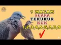 Download Lagu 9 Macam Tipe Suara Tekukur Kuk 1 Sampai Kuk 9 Manakah Yang Paling Bagus Menurut Anda Lur❓