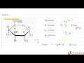 The molecule given below is