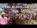 Spring flower tour at Filoli Garden