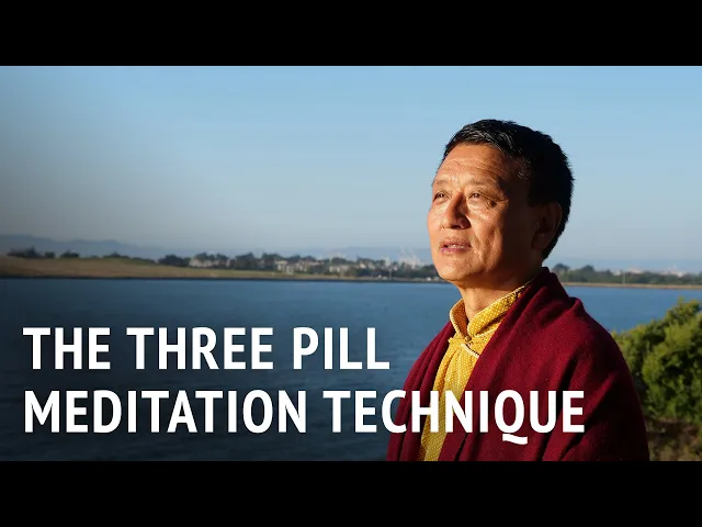 The Three Pill Meditation Technique | Tenzin Wangyal Rinpoche