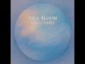 Unsaid Things - Eira Bloom
