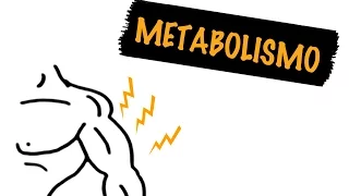 Como o Seu Metabolismo Influencia a Perda de Peso | Autoridade Fitness