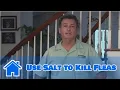 Home Pest Control How to Use Salt to Kill Fleas