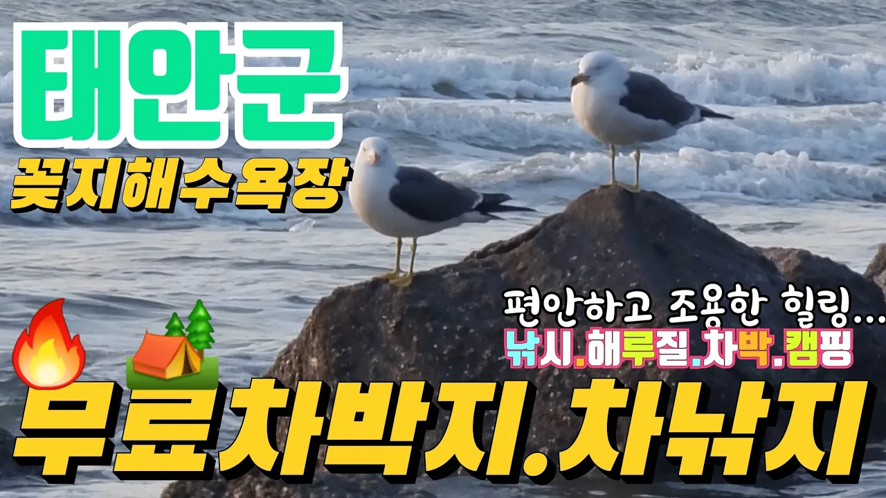 관련 영상 썸네일