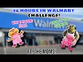 24 HOURS IN WALMART CHALLENGE