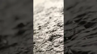 صوت المطر مطر مونتاج صوت أصوات  صوت المطر مطر مونتاج صوت أصوات