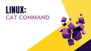 Linux Cat Command Bash Scripting Shell Scripting By Designer Code