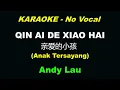 QIN AI DE XIAO HAI 亲爱的小孩  - Andy Lau [KARAOKE] No Vocal